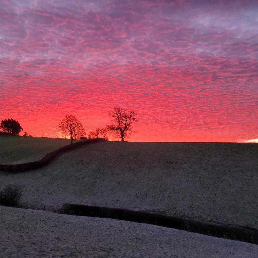 Willa Odli Glamping - Luxury Glamping Pod Welshpool Zewnętrze zdjęcie